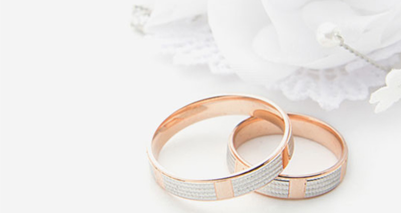 banner3